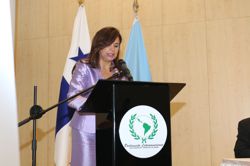 junta-obras-pma-front